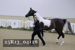 25R13_04128 thumbnail