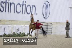 25R13_04129 thumbnail