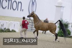 25R13_04130 thumbnail