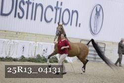 25R13_04131 thumbnail