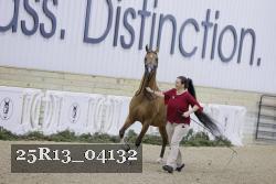25R13_04132 thumbnail