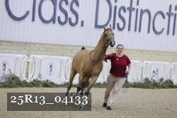 25R13_04133 thumbnail