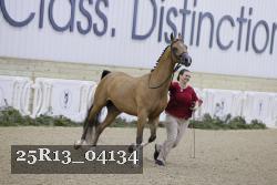 25R13_04134 thumbnail