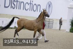 25R13_04135 thumbnail