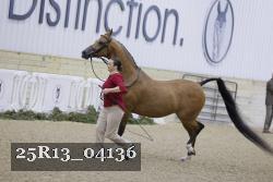 25R13_04136 thumbnail