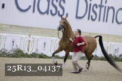 25R13_04137 thumbnail