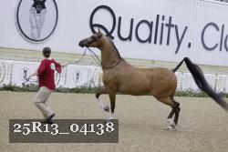 25R13_04138 thumbnail
