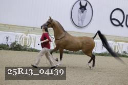 25R13_04139 thumbnail