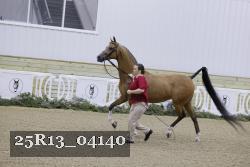 25R13_04140 thumbnail