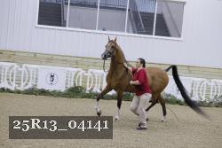 25R13_04141 thumbnail
