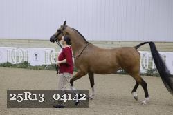 25R13_04142 thumbnail