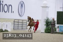 25R13_04143 thumbnail