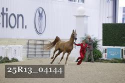 25R13_04144 thumbnail