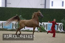 25R13_04145 thumbnail