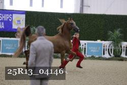25R13_04146 thumbnail