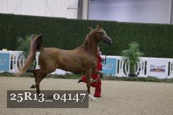 25R13_04147 thumbnail