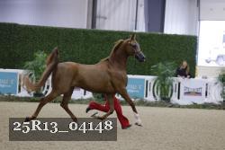 25R13_04148 thumbnail