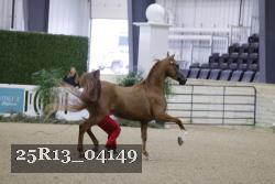 25R13_04149 thumbnail