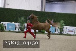 25R13_04150 thumbnail