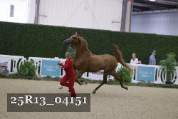 25R13_04151 thumbnail