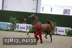 25R13_04152 thumbnail