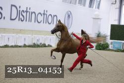 25R13_04153 thumbnail