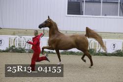 25R13_04155 thumbnail