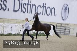 25R13_04156 thumbnail