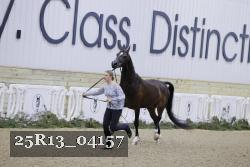 25R13_04157 thumbnail