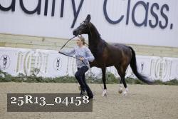 25R13_04158 thumbnail