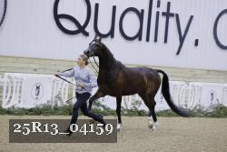 25R13_04159 thumbnail