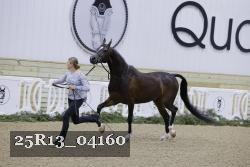 25R13_04160 thumbnail