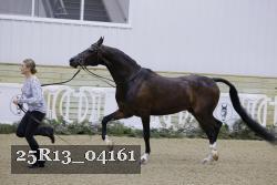 25R13_04161 thumbnail
