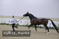 25R13_04162 thumbnail