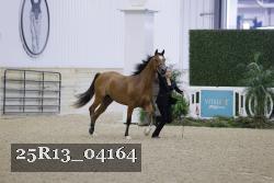 25R13_04164 thumbnail