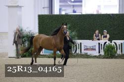 25R13_04165 thumbnail