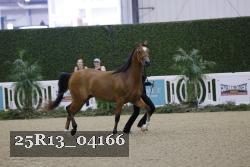 25R13_04166 thumbnail