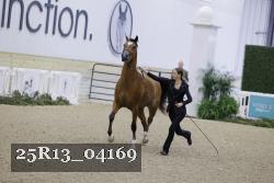 25R13_04169 thumbnail