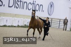 25R13_04170 thumbnail