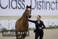 25R13_04171 thumbnail