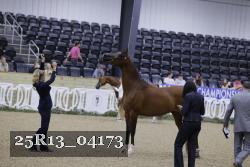 25R13_04173 thumbnail