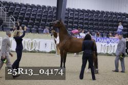 25R13_04174 thumbnail
