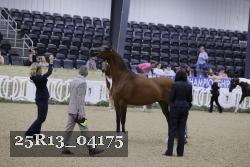 25R13_04175 thumbnail