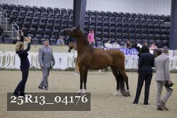 25R13_04176 thumbnail
