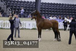 25R13_04177 thumbnail