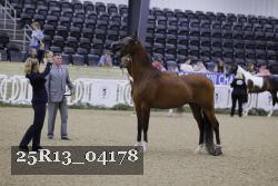 25R13_04178 thumbnail