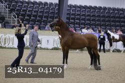 25R13_04179 thumbnail