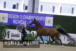 25R13_04180 thumbnail