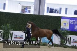 25R13_04182 thumbnail