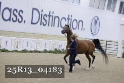 25R13_04183 thumbnail